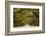 A Stunning, Long Path Lined with Ancient Live Oak Trees Draped in Spanish Moss in the Warm, Late Af-Serge Skiba-Framed Photographic Print