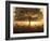 A stunning misty sunrise-Alex Saberi-Framed Photographic Print