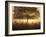 A stunning misty sunrise-Alex Saberi-Framed Photographic Print