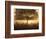 A stunning misty sunrise-Alex Saberi-Framed Photographic Print