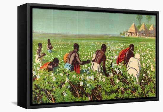 A Sudan Cotton Field, from the Series 'Empire Trade Is Growing'-Edward Barnard Lintott-Framed Premier Image Canvas