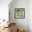 A Summer Footpath-Sylvia Paul-Framed Giclee Print displayed on a wall