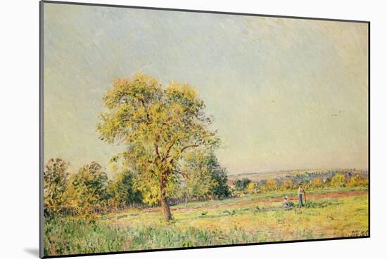 A Summer's Day, 1886-Alfred Sisley-Mounted Giclee Print