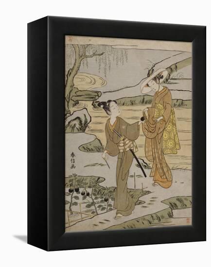 A Summer Scene on a Raised Embankment of a Young Man Cutting an Aubergine to Give to His Young…-Suzuki Harunobu-Framed Premier Image Canvas