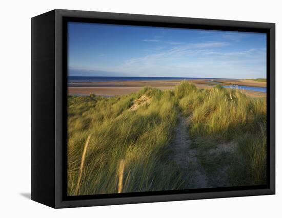 A Summer View of the Barrier Island Scolt Head Island, Norfolk, England, United Kingdom, Europe-Jon Gibbs-Framed Premier Image Canvas