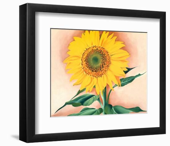 A Sunflower from Maggie, 1937-Georgia O'Keeffe-Framed Art Print