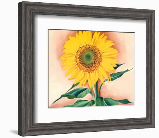 A Sunflower from Maggie, 1937-Georgia O'Keeffe-Framed Art Print