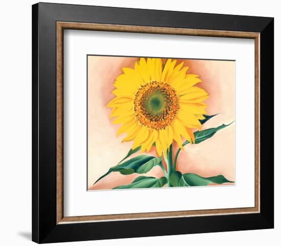 A Sunflower from Maggie, 1937-Georgia O'Keeffe-Framed Art Print