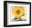 A Sunflower from Maggie, 1937-Georgia O'Keeffe-Framed Art Print