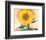 A Sunflower from Maggie, 1937-Georgia O'Keeffe-Framed Art Print