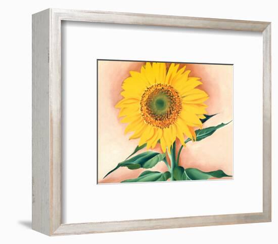 A Sunflower from Maggie, 1937-Georgia O'Keeffe-Framed Art Print