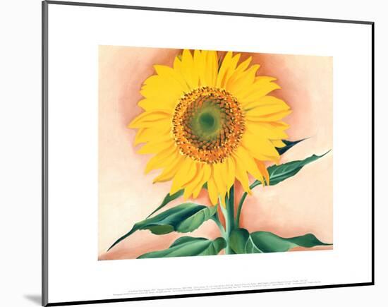 A Sunflower From Maggie 1937 Mounted Print Georgia O Keeffe Art Com