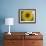 A Sunflower is Reflected in Raindrops on a Car Window-null-Framed Photographic Print displayed on a wall