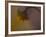 A Sunflower 's Lament-Valda Bailey-Framed Photographic Print