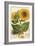 A Sunflower-John Miller (Johann Sebastien Mueller)-Framed Giclee Print