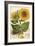 A Sunflower-John Miller (Johann Sebastien Mueller)-Framed Giclee Print