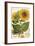 A Sunflower-John Miller (Johann Sebastien Mueller)-Framed Giclee Print