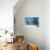 A Sunny Living Room with Large Windows-PlusONE-Photographic Print displayed on a wall