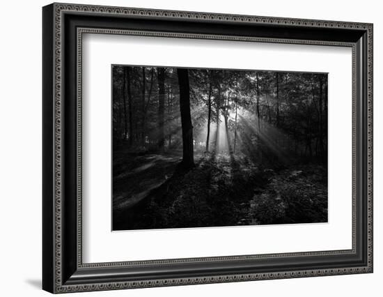 A Sunny Morning-Leif Løndal-Framed Photographic Print