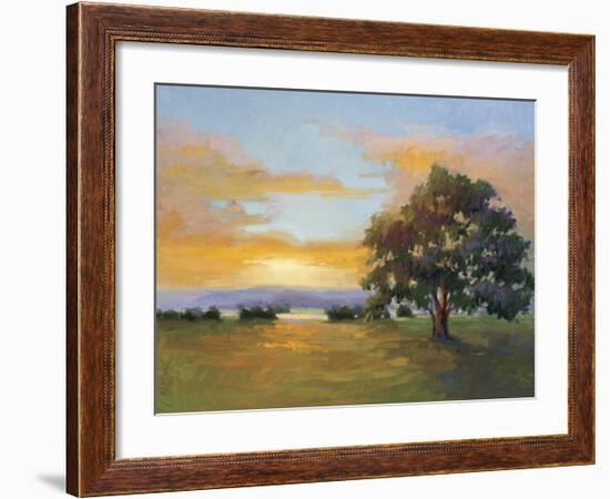 A Sunset Salute-Vicki Mcmurry-Framed Art Print