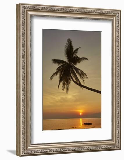 A sunset silhouette of a coconut palm at Paliton beach, Siquijor, Philippines, Southeast Asia, Asia-Nigel Hicks-Framed Photographic Print