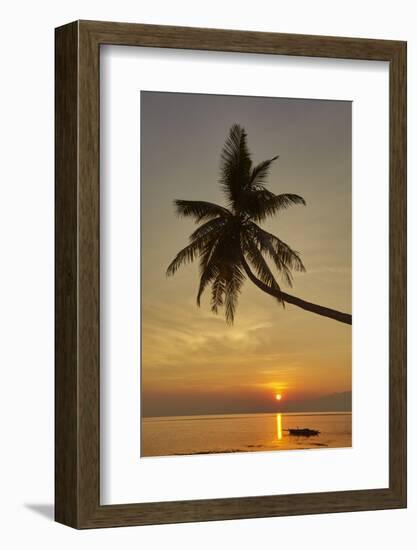 A sunset silhouette of a coconut palm at Paliton beach, Siquijor, Philippines, Southeast Asia, Asia-Nigel Hicks-Framed Photographic Print