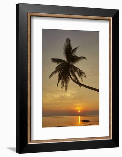 A sunset silhouette of a coconut palm at Paliton beach, Siquijor, Philippines, Southeast Asia, Asia-Nigel Hicks-Framed Photographic Print