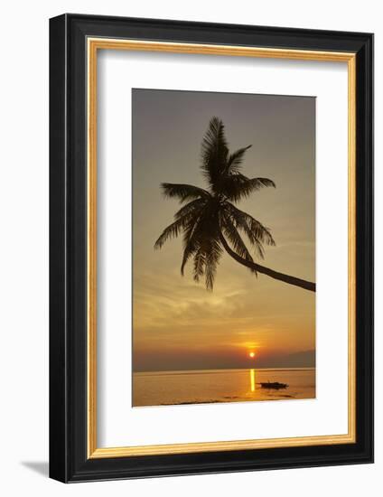 A sunset silhouette of a coconut palm at Paliton beach, Siquijor, Philippines, Southeast Asia, Asia-Nigel Hicks-Framed Photographic Print