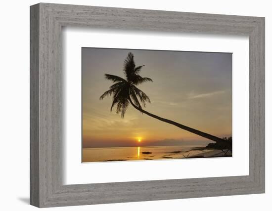 A sunset silhouette of a coconut palm at Paliton beach, Siquijor, Philippines, Southeast Asia, Asia-Nigel Hicks-Framed Photographic Print