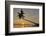 A sunset silhouette of a coconut palm at Paliton beach, Siquijor, Philippines, Southeast Asia, Asia-Nigel Hicks-Framed Photographic Print