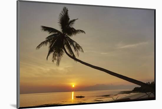 A sunset silhouette of a coconut palm at Paliton beach, Siquijor, Philippines, Southeast Asia, Asia-Nigel Hicks-Mounted Photographic Print