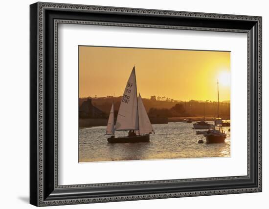 A Sunset View of Sailing on the River Exe at Topsham, Near Exeter, Devon, England, United Kingdom-Nigel Hicks-Framed Photographic Print