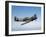 A Supermarine Spitfire MK-18 in Flight-Stocktrek Images-Framed Photographic Print