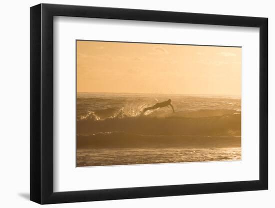 A Surfer Dives over a Wave on Praia Da Joaquina Beach on Florianopolis Island-Alex Saberi-Framed Photographic Print