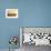 A Surfer Dives over a Wave on Praia Da Joaquina Beach on Florianopolis Island-Alex Saberi-Framed Photographic Print displayed on a wall