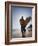 A Surfer Looks Out to the Waves at Manly Beach on Sydney's North Shore, Australia-Andrew Watson-Framed Photographic Print