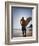 A Surfer Looks Out to the Waves at Manly Beach on Sydney's North Shore, Australia-Andrew Watson-Framed Photographic Print