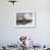 A Surfer Takes The Top Of A Wave In Santa Barbara, Ca-Daniel Kuras-Framed Photographic Print displayed on a wall