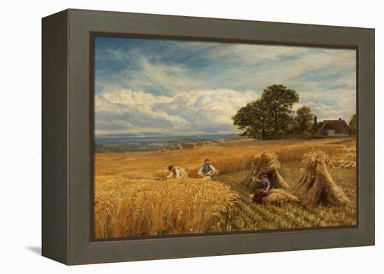 A Surrey Cornfield, 1864-George Vicat Cole-Framed Premier Image Canvas