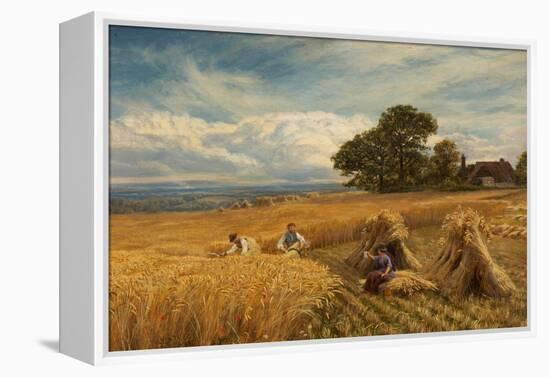 A Surrey Cornfield, 1864-George Vicat Cole-Framed Premier Image Canvas