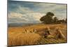 A Surrey Cornfield, 1864-George Vicat Cole-Mounted Giclee Print