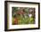 A Swallow-Tailed Hummingbird, Eupetomena Macroura, Mid Flight, Feeding from a Flower-Alex Saberi-Framed Photographic Print