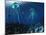 A Swarm of Jellyfish Swim the Panthalassic Ocean-Stocktrek Images-Mounted Photographic Print
