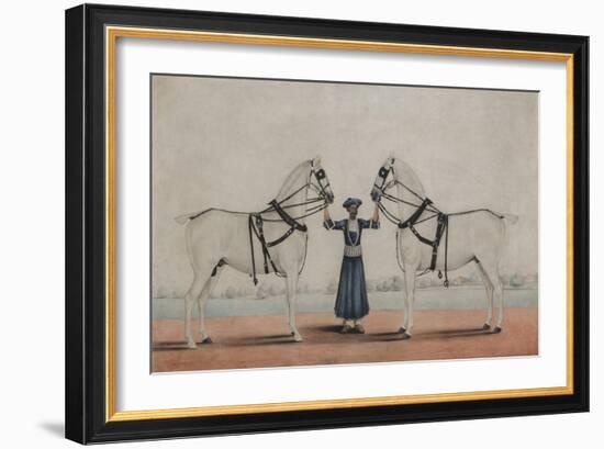 A Syce  Holding Two Carriage Horses, c.1845-Shaik Muhammad Amir of Karraya-Framed Giclee Print