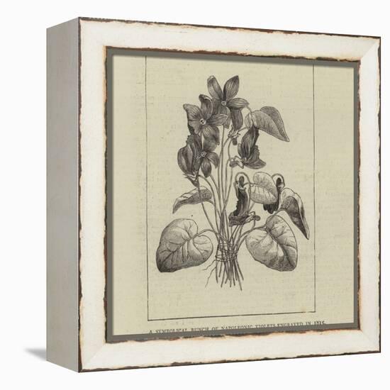 A Symbolical Bunch of Napoleonic Violets-null-Framed Premier Image Canvas