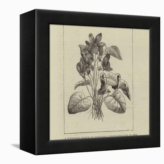 A Symbolical Bunch of Napoleonic Violets-null-Framed Premier Image Canvas