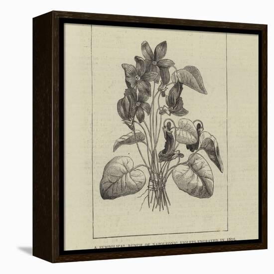 A Symbolical Bunch of Napoleonic Violets-null-Framed Premier Image Canvas