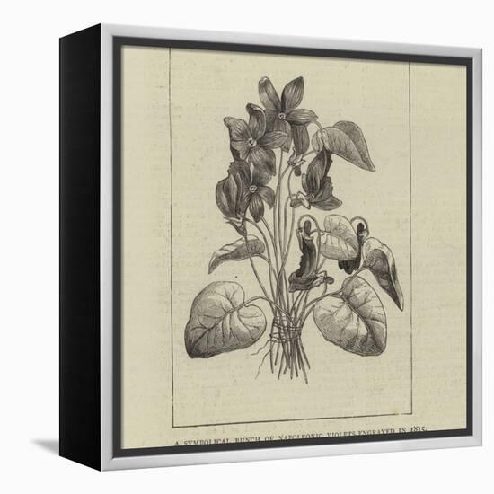 A Symbolical Bunch of Napoleonic Violets-null-Framed Premier Image Canvas