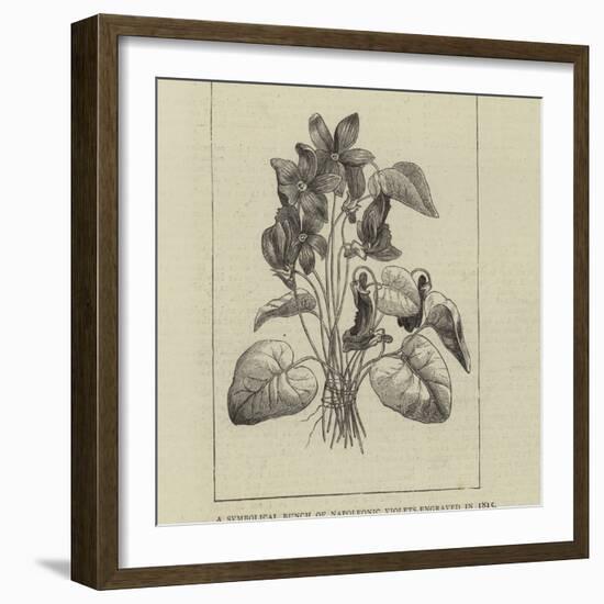 A Symbolical Bunch of Napoleonic Violets-null-Framed Giclee Print