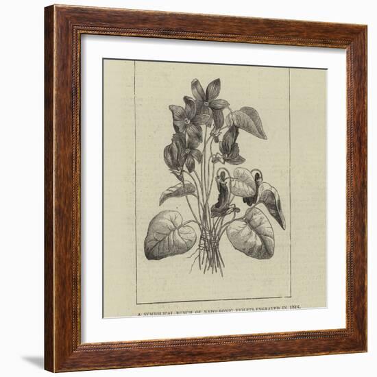 A Symbolical Bunch of Napoleonic Violets-null-Framed Giclee Print